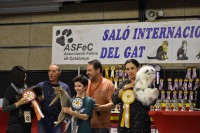 /album/fotogaleria-exposiciones3/a12801374-10208956207361890-5744034579978454517-n-1-jpg/